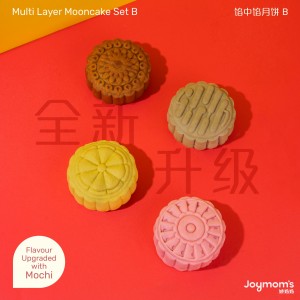 Multi Layer Package B 4pcs